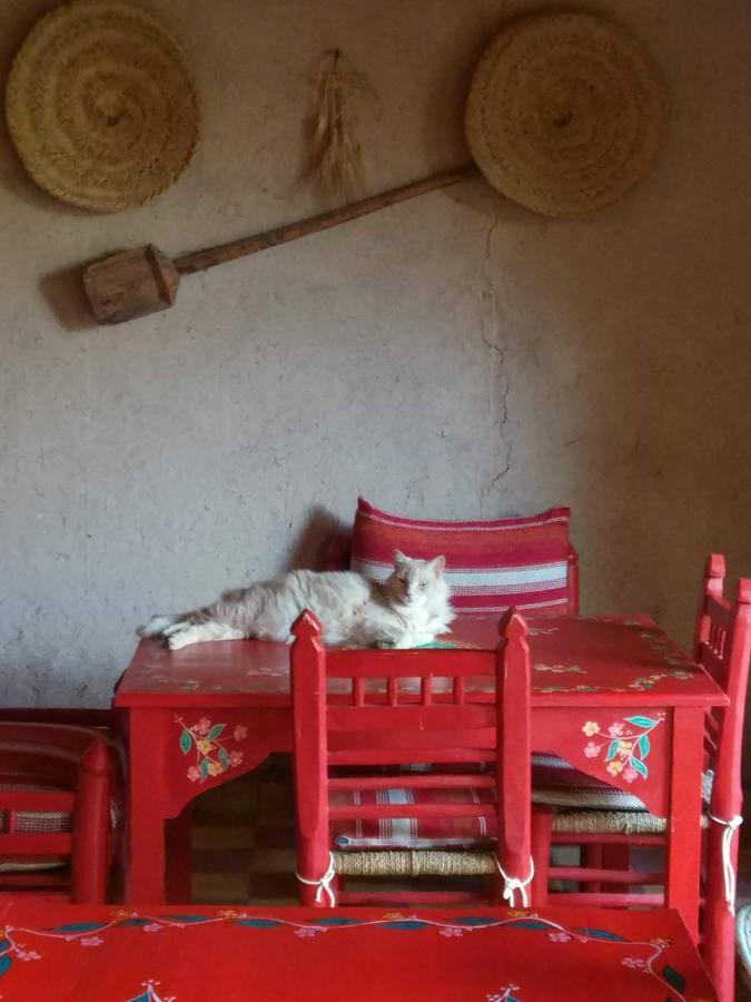 Kasbah Timdaf Hotel Demnat Luaran gambar